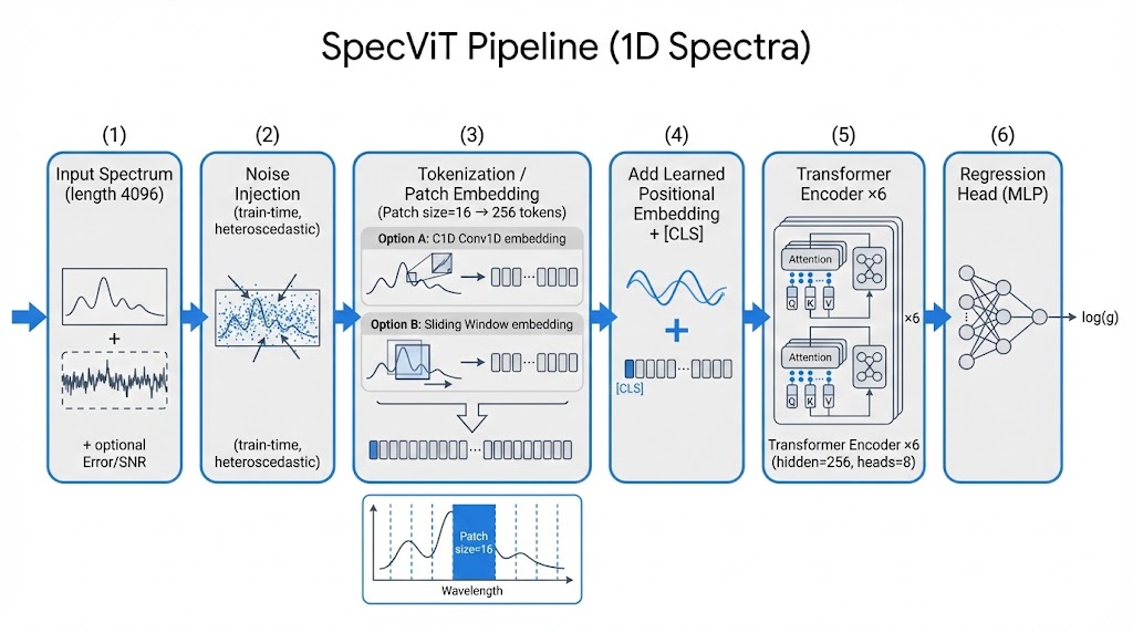 SpecViT Architecture: Spectrum → Conv1D Patches → Transformer Encoder → log g prediction